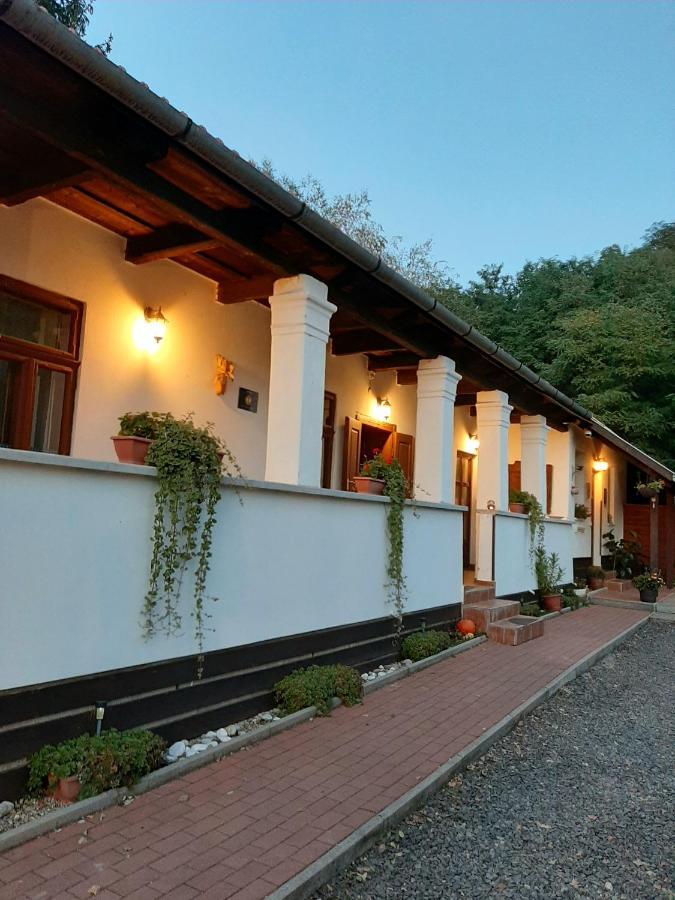 Bodza Vendeghaz - Apartmanhaz *