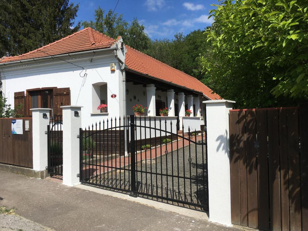 Bodza Vendeghaz - Apartmanhaz *