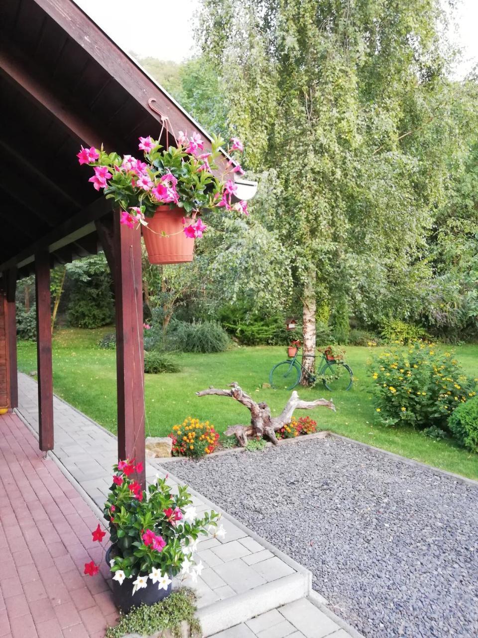 Bodza Vendeghaz - Apartmanhaz